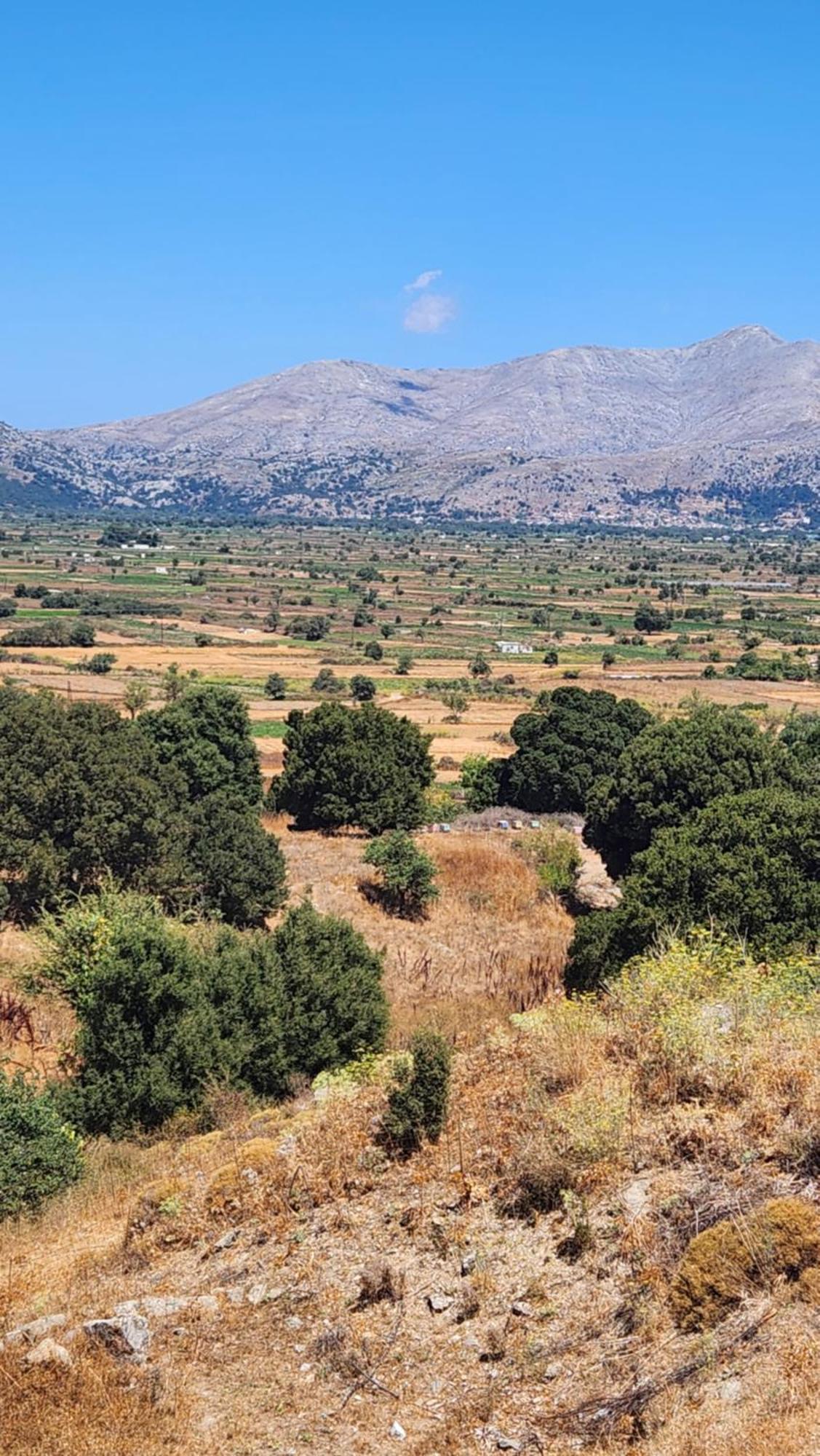 Dionysus Lasithi Plateau Magoulas ภายนอก รูปภาพ